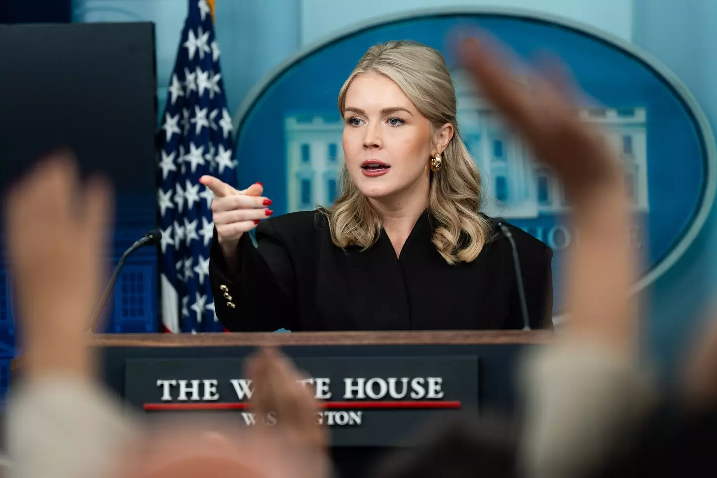 Leavitt has since slammed the piece as 'disingenuous' (Demetrius Freeman/The Washington Post via Getty Images)