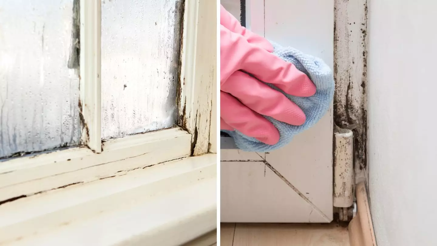 Getty/ideabug/FotoDuets