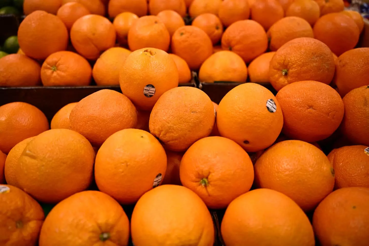 Do you see the difference? (PATRICK T. FALLON / Contributor)