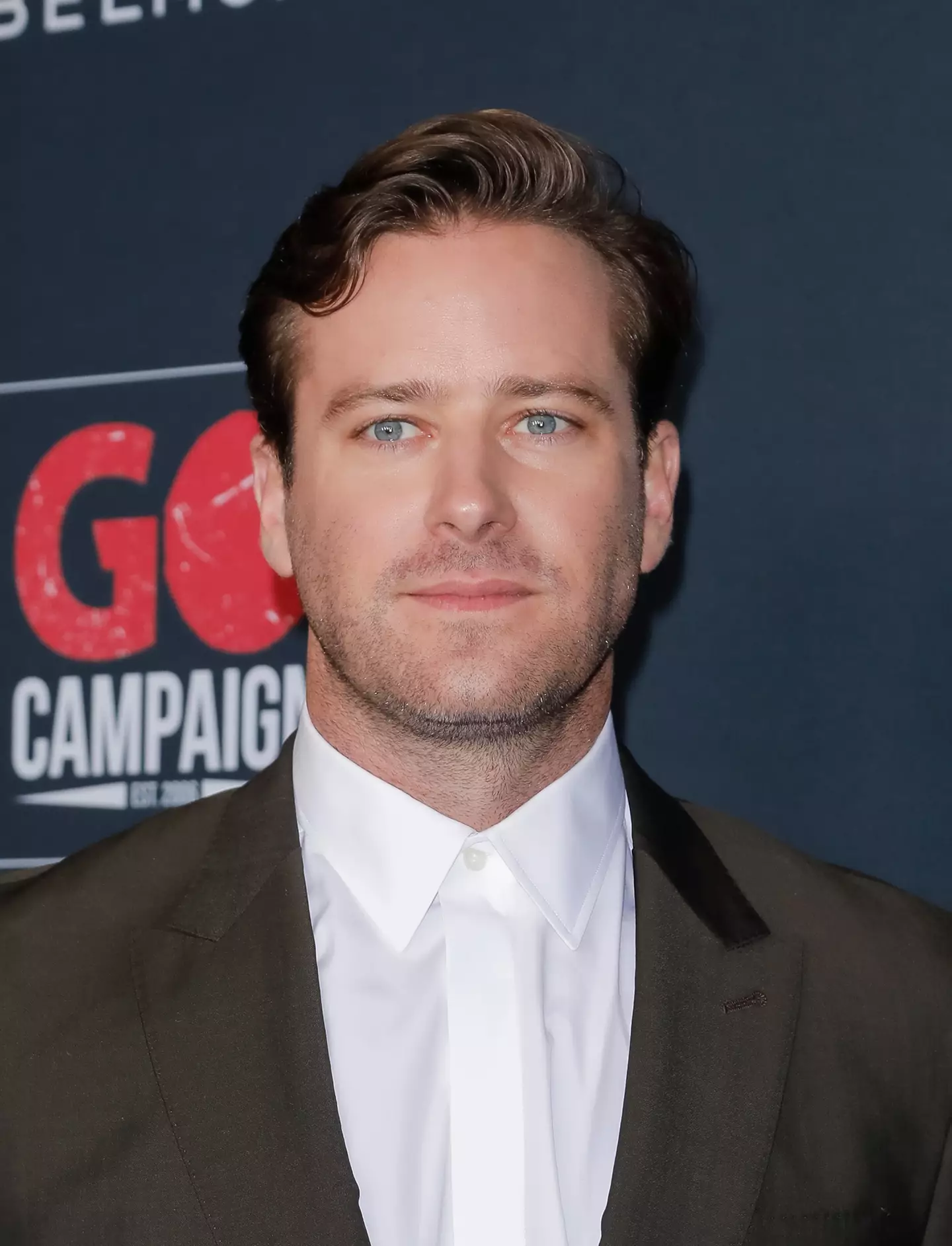 Armie Hammer has now spoken out against the accusations made against him. (Tibrina Hobson/WireImage)