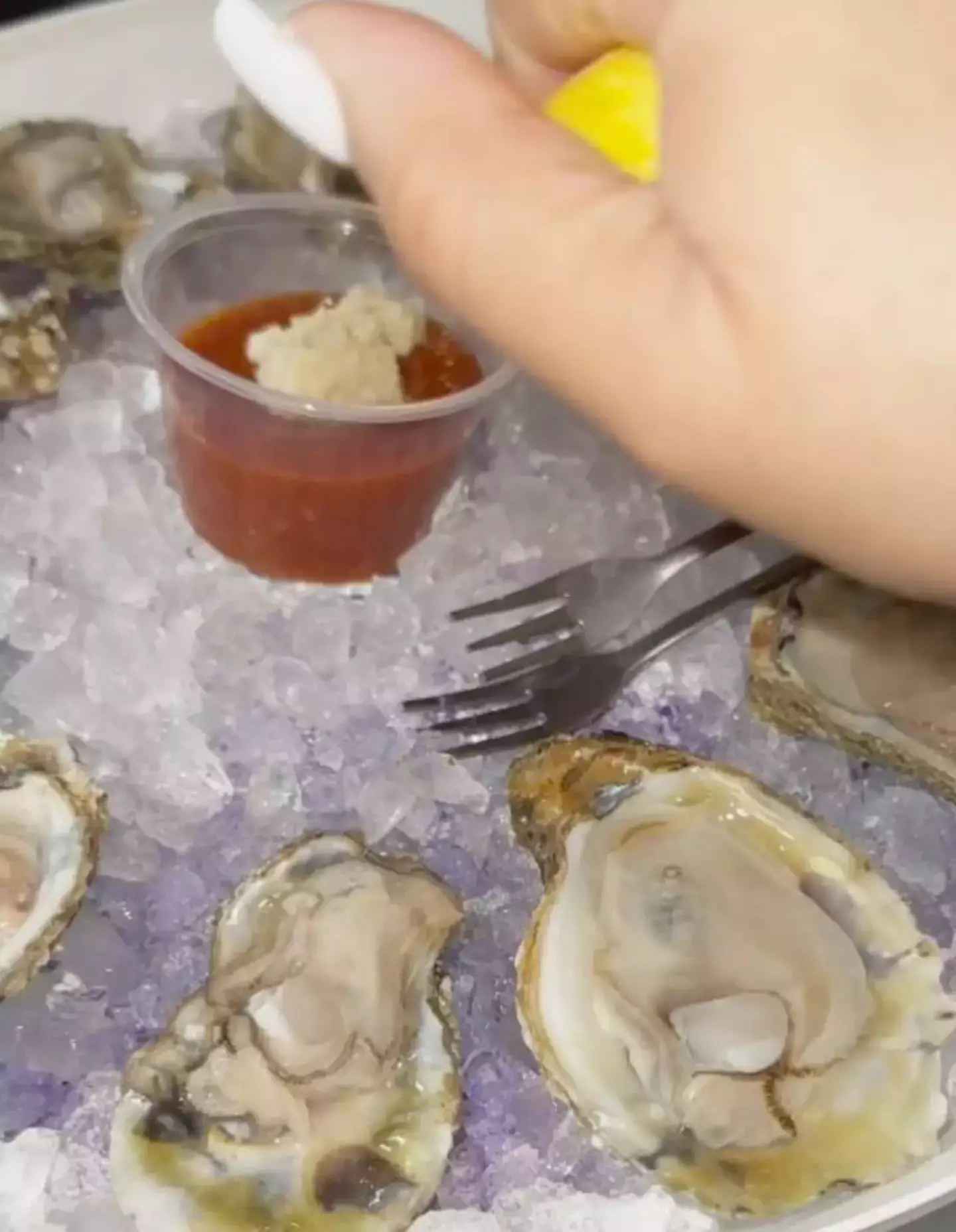 She ate A LOT of oysters.