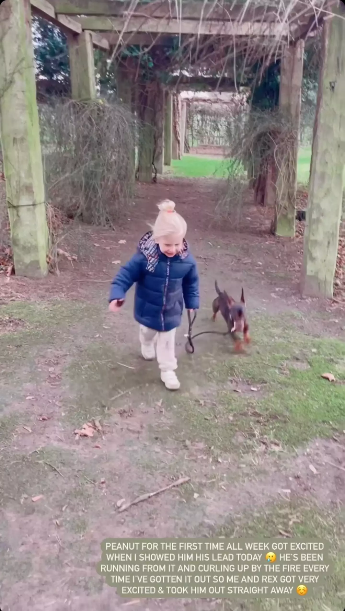 Stacey Solomon shared a video of her son Rex and pet dog Peanut on Instagram (