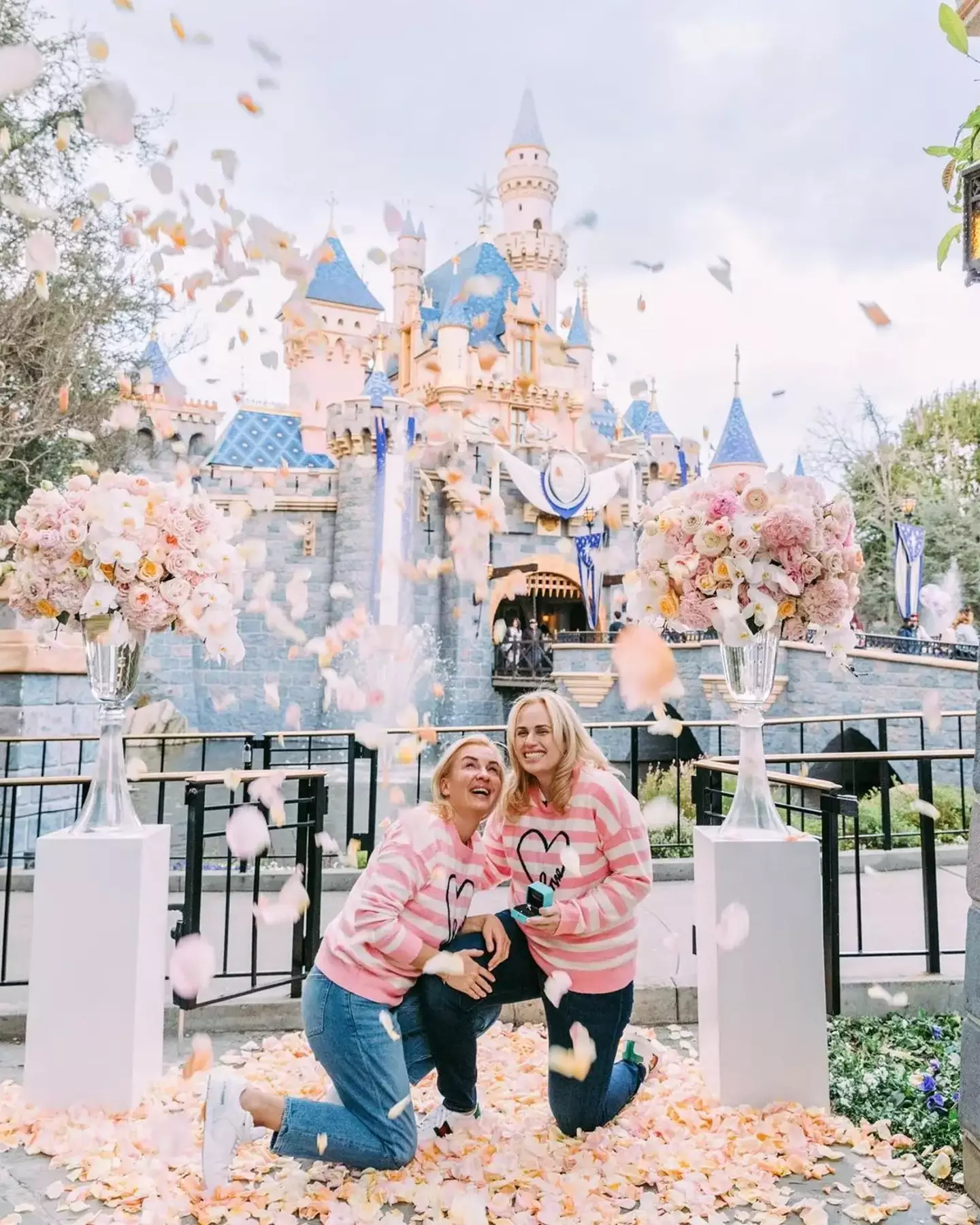 Rebel Wilson and her girlfriend got engaged at Disneyland.