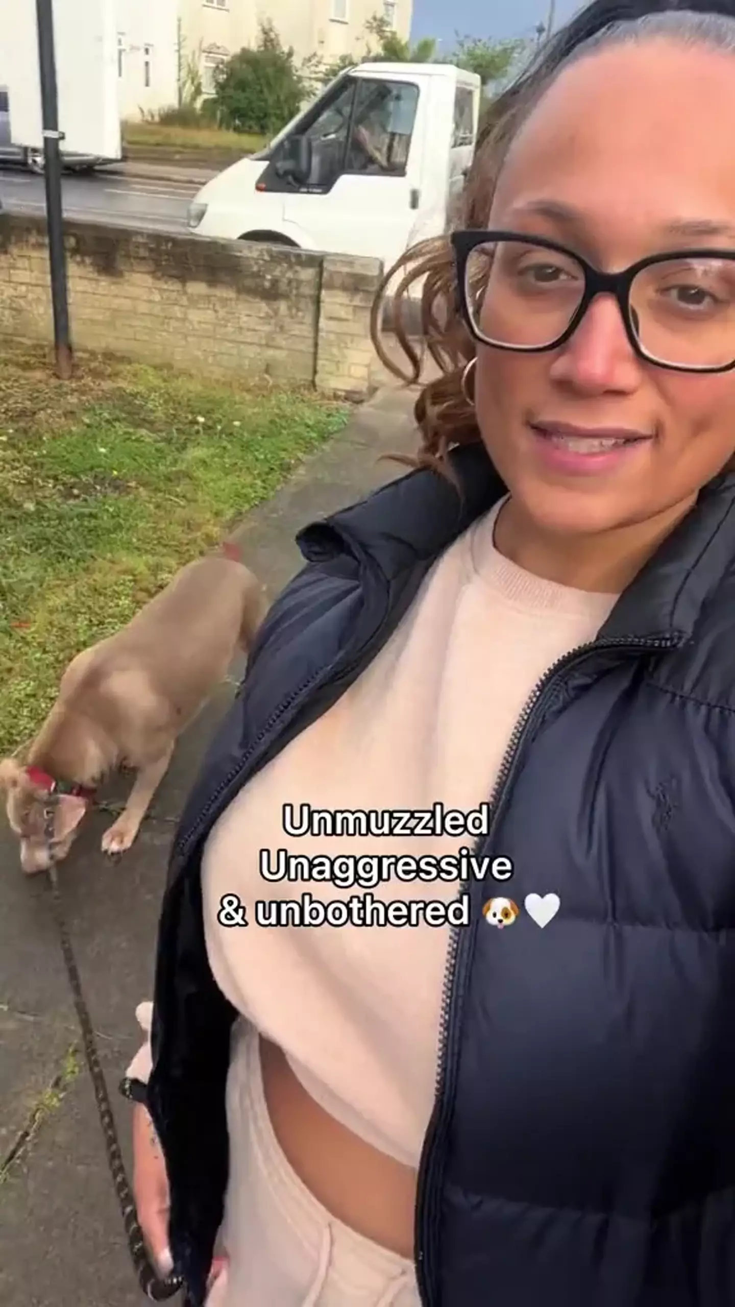 Daniella said her dog Bebe was not aggressive.