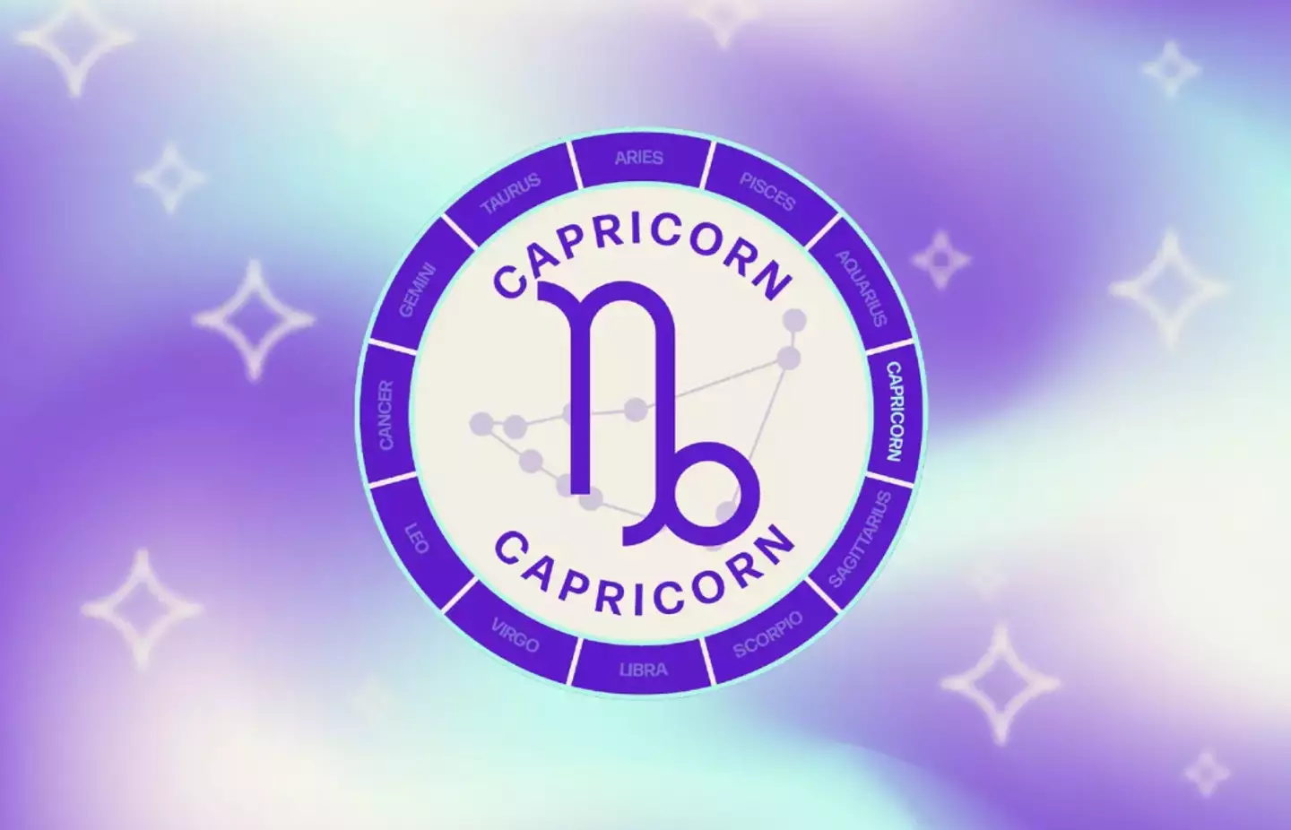 Capricorns are said to 'manipulate' situations to benefit them (Tyla)
