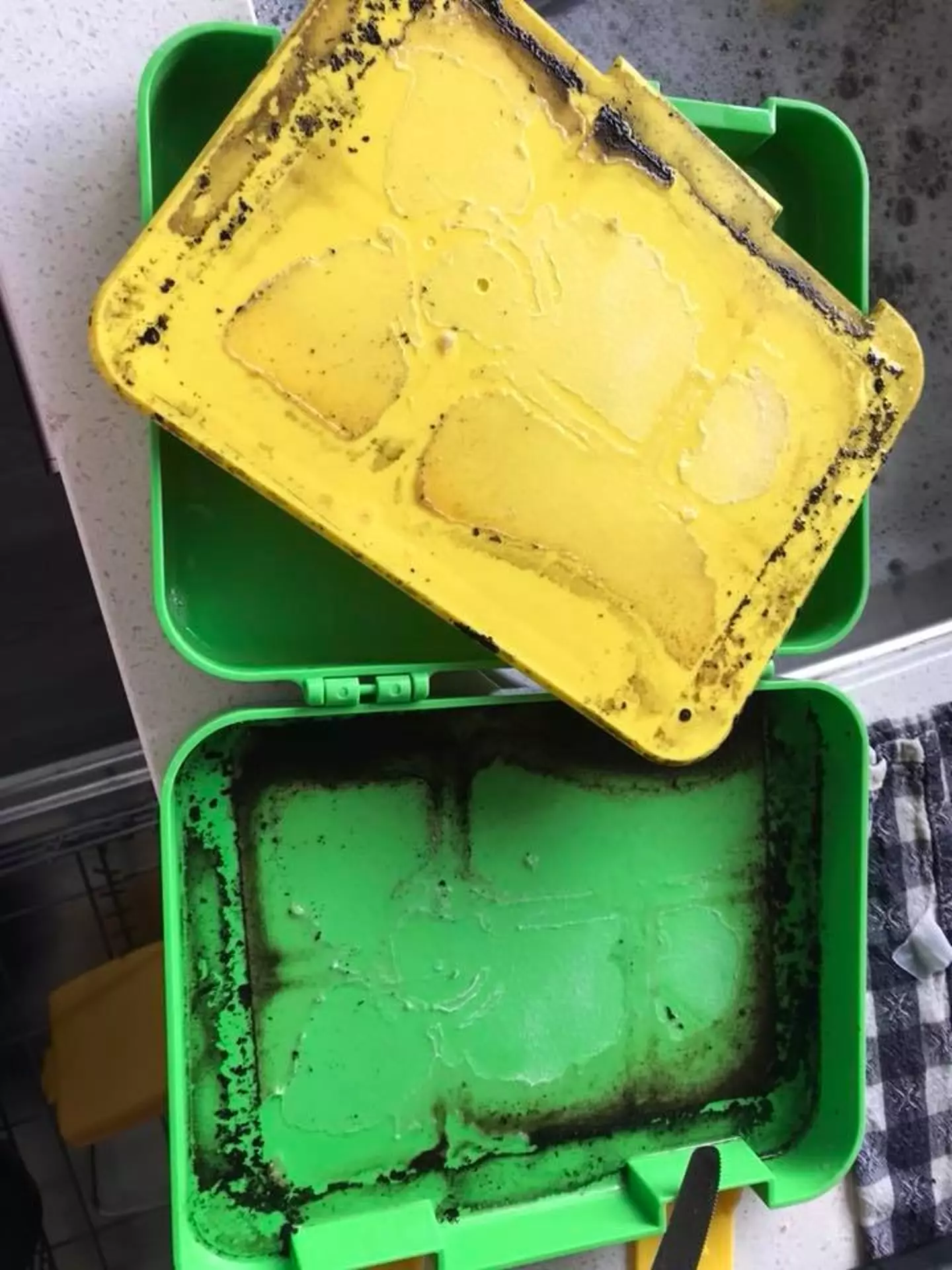 Probably the most convincing argument for school dinners you'll ever find.