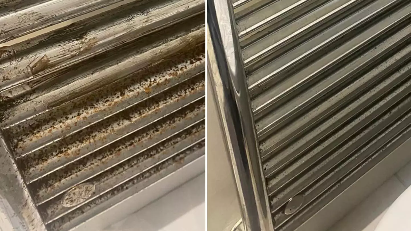 Woman praised after sharing hack to make rusty radiators look brand new