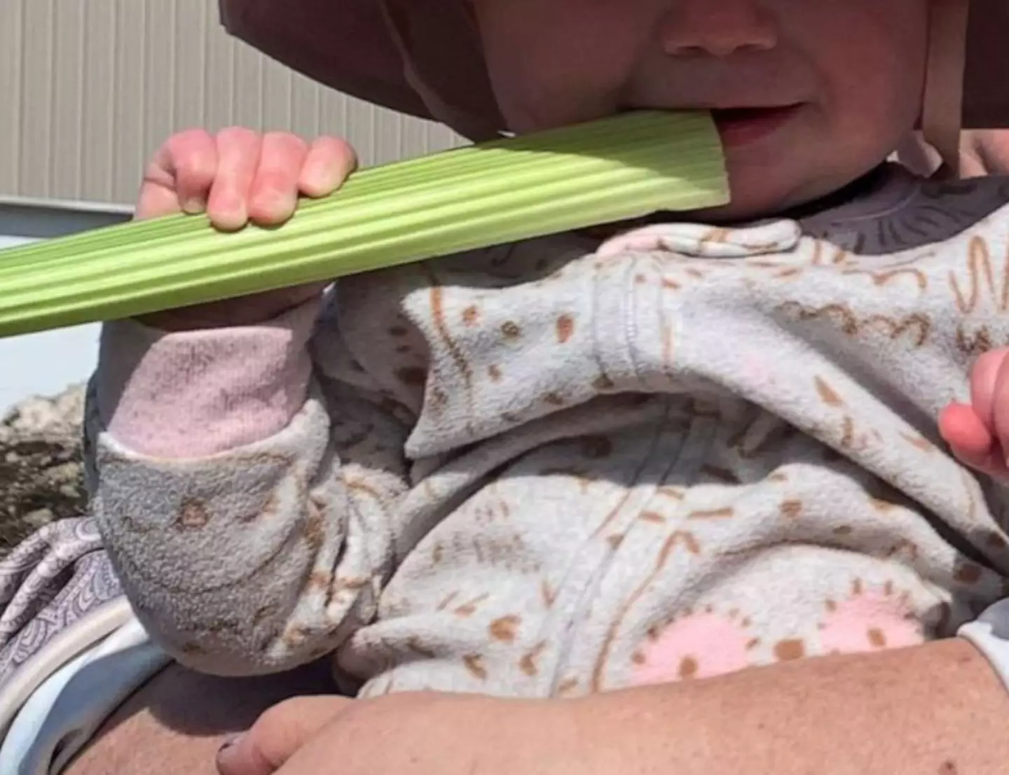 Mum issues warning after giving baby celery in sun.