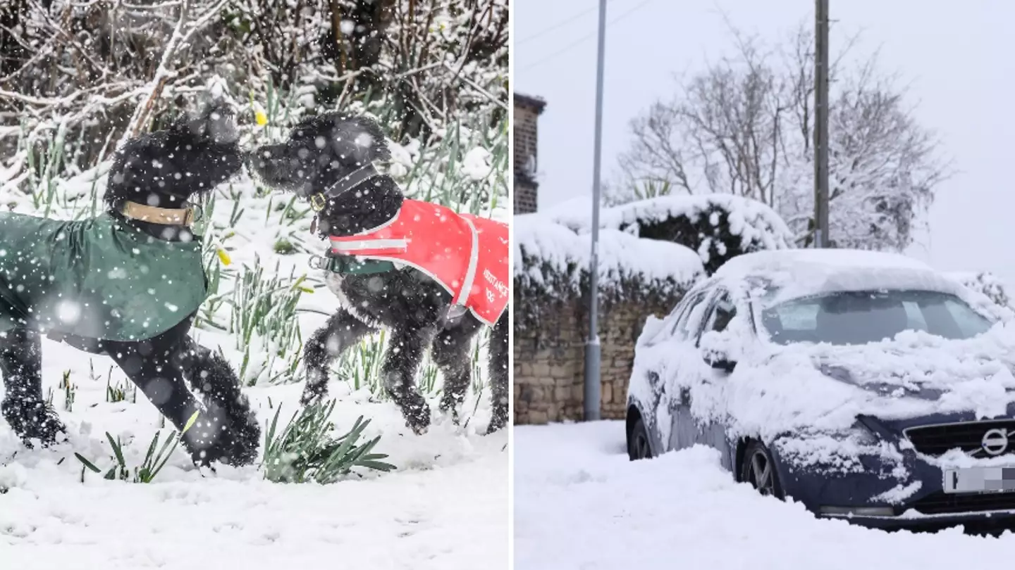 Met Office issues alert as temperature in UK set to plummet