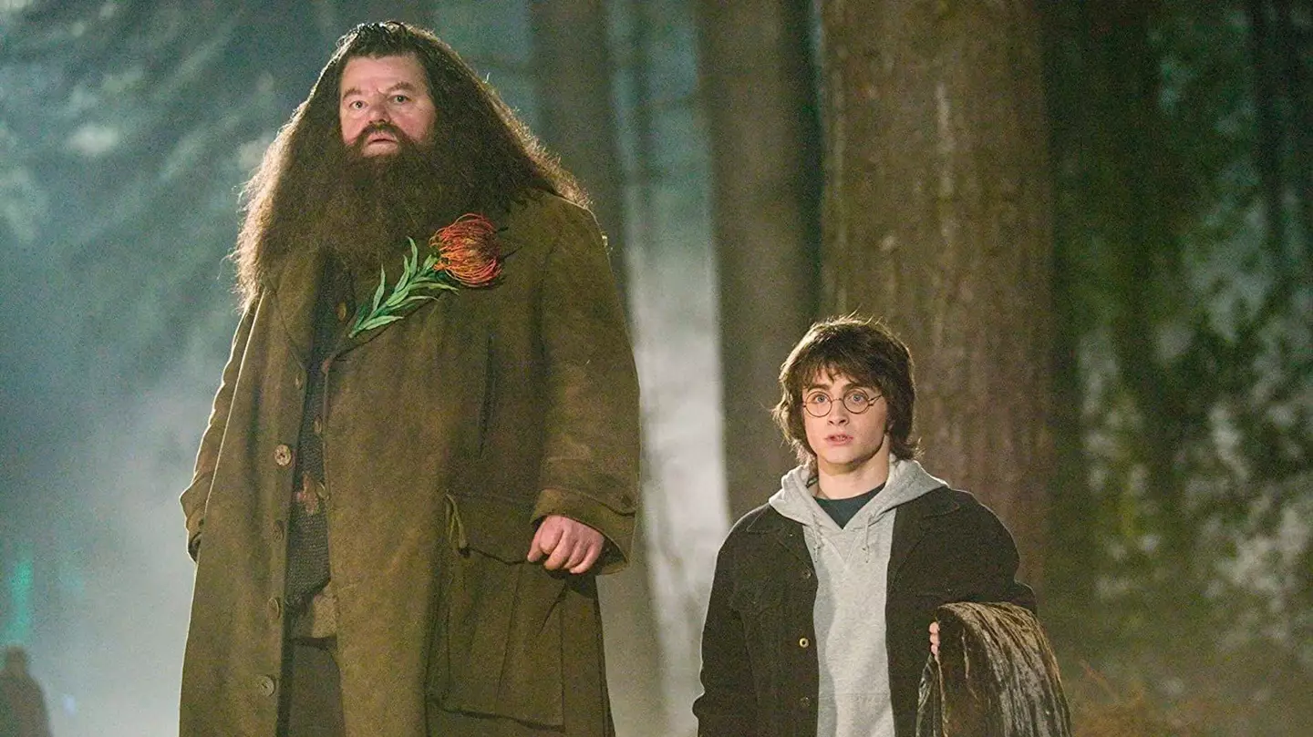 There's more to Hagrid than may appear (