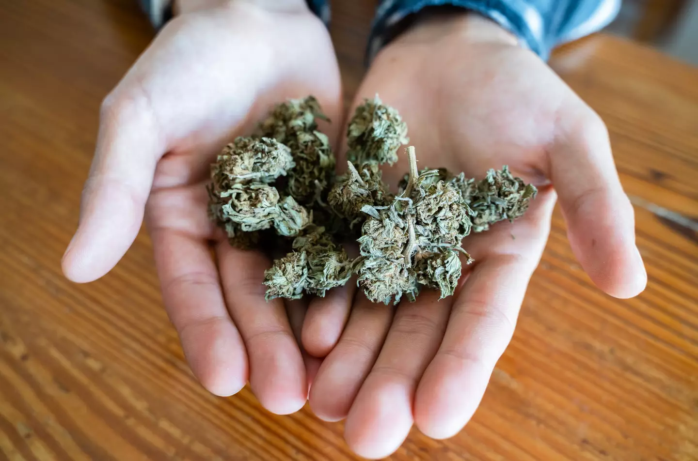 Weed is currently illegal at a federal level, but it varies state by state (Alberto Case/Getty stock photo)
