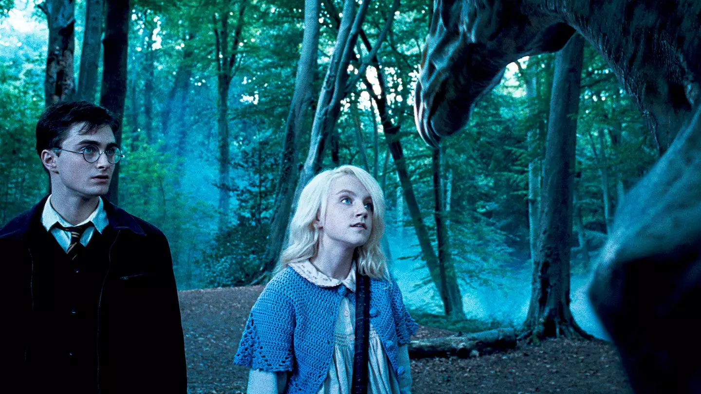 Harry Potter Fans Are Furiously Debating The 'Confusing' Thestrals Storyline
