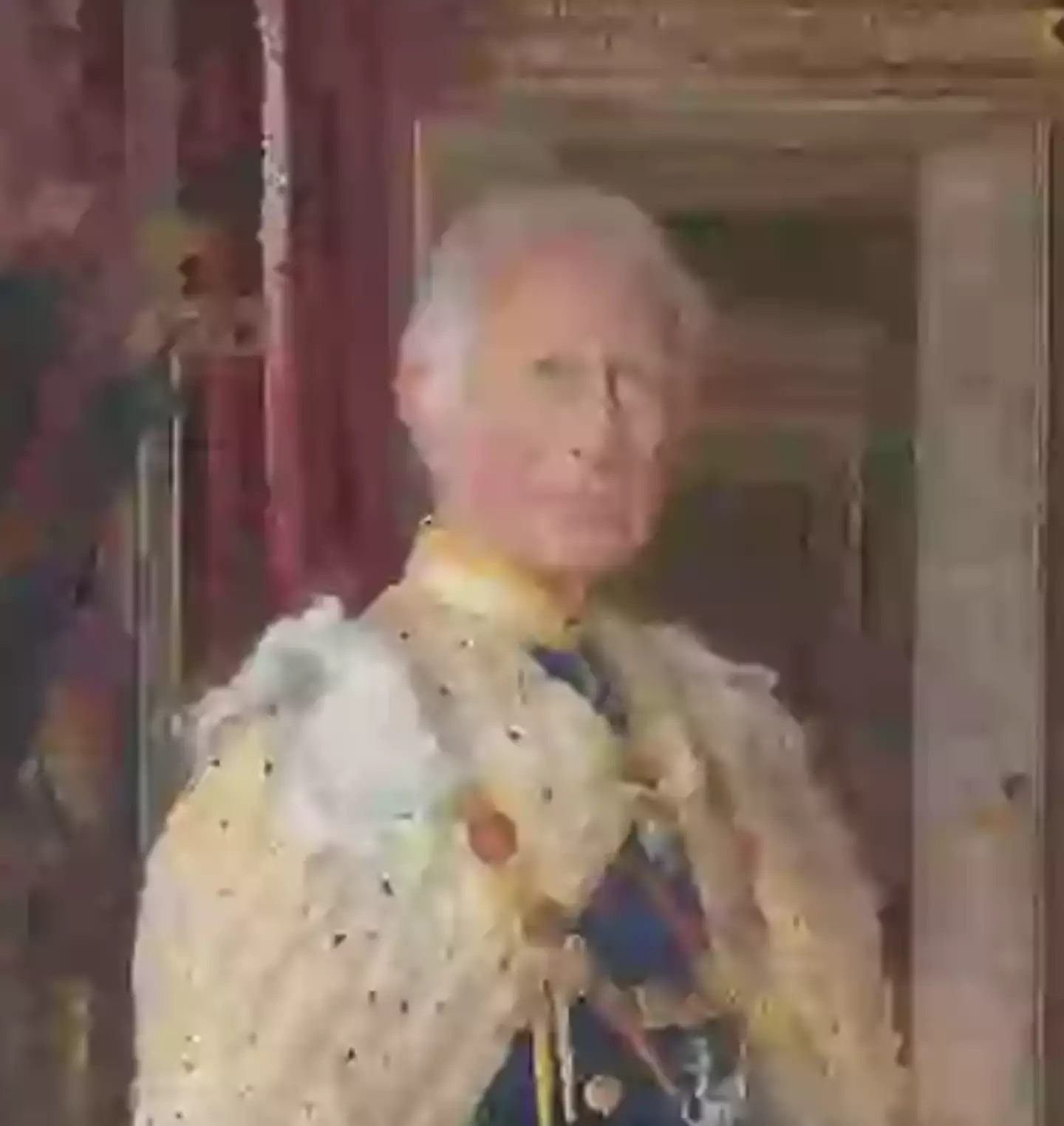 Some royal fans were convinced the monarch had a white lacy brassiere draped over his shoulder (PA)