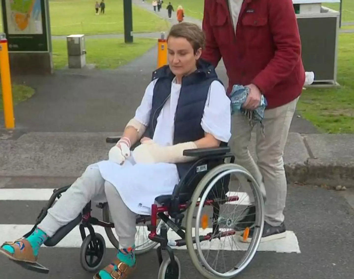 Elle needed surgery after the dog attack.