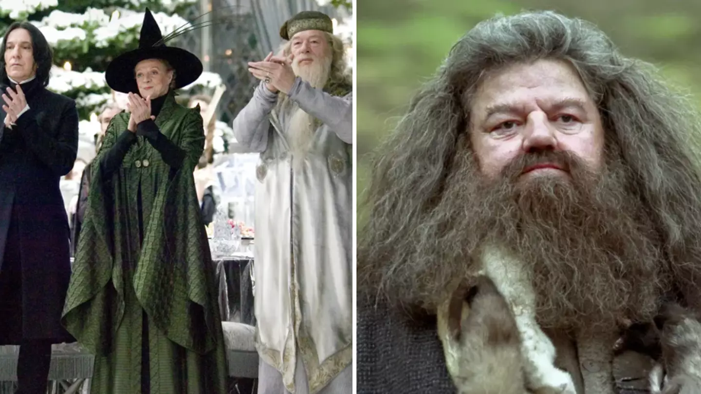 All the Harry Potter legends who have sadly now passed away since the films were released