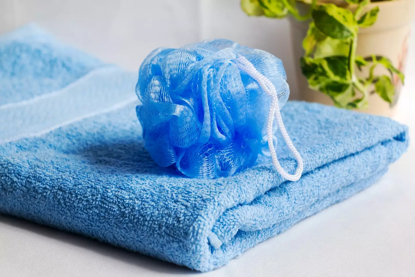 Skin doctors have been issuing a warning about loofah use ( photograph by dorisj/Getty)