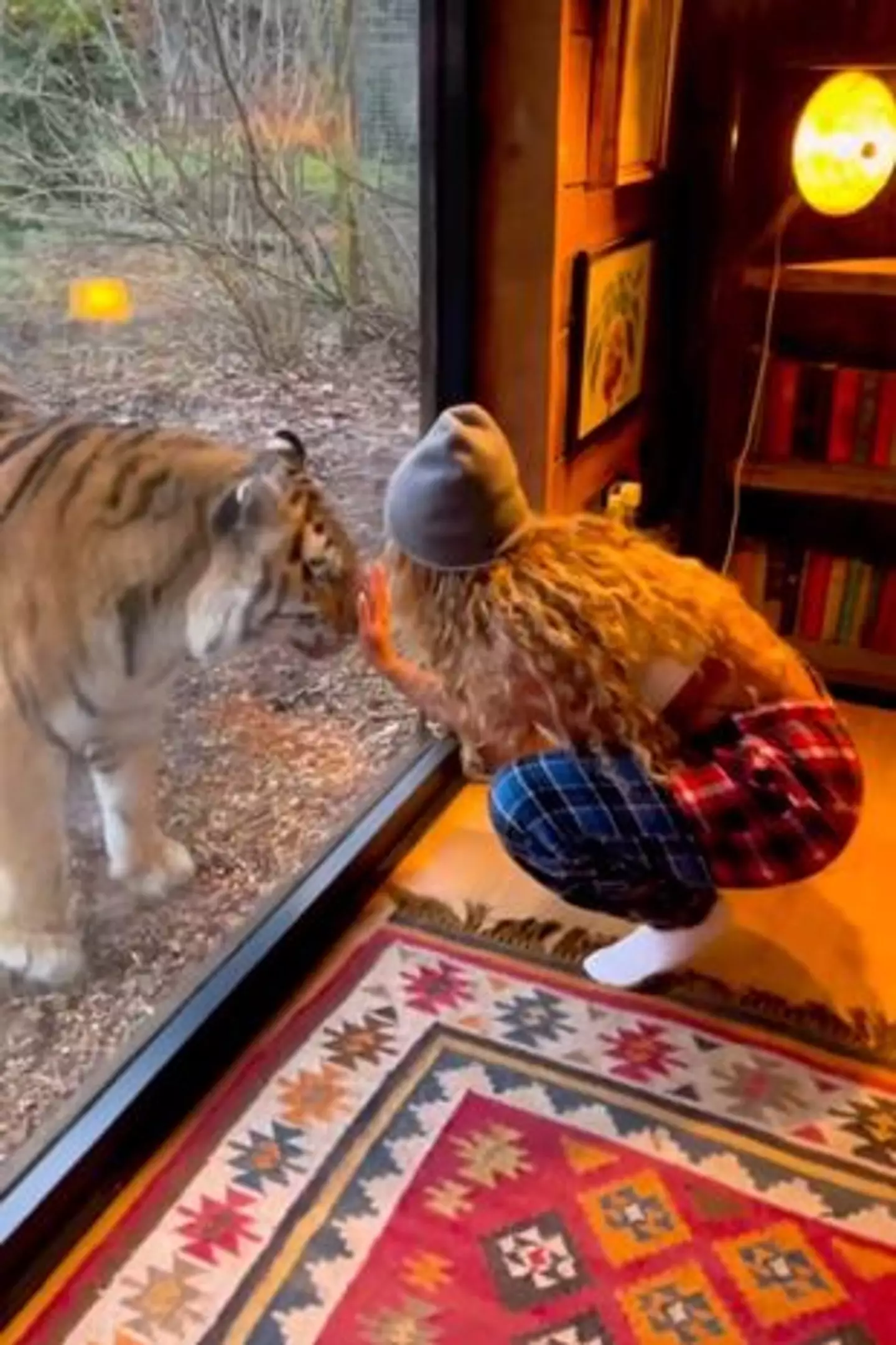 The former Little Mix bandmate had been staying at a luxury cabin which had views of the tiger's enclosure.