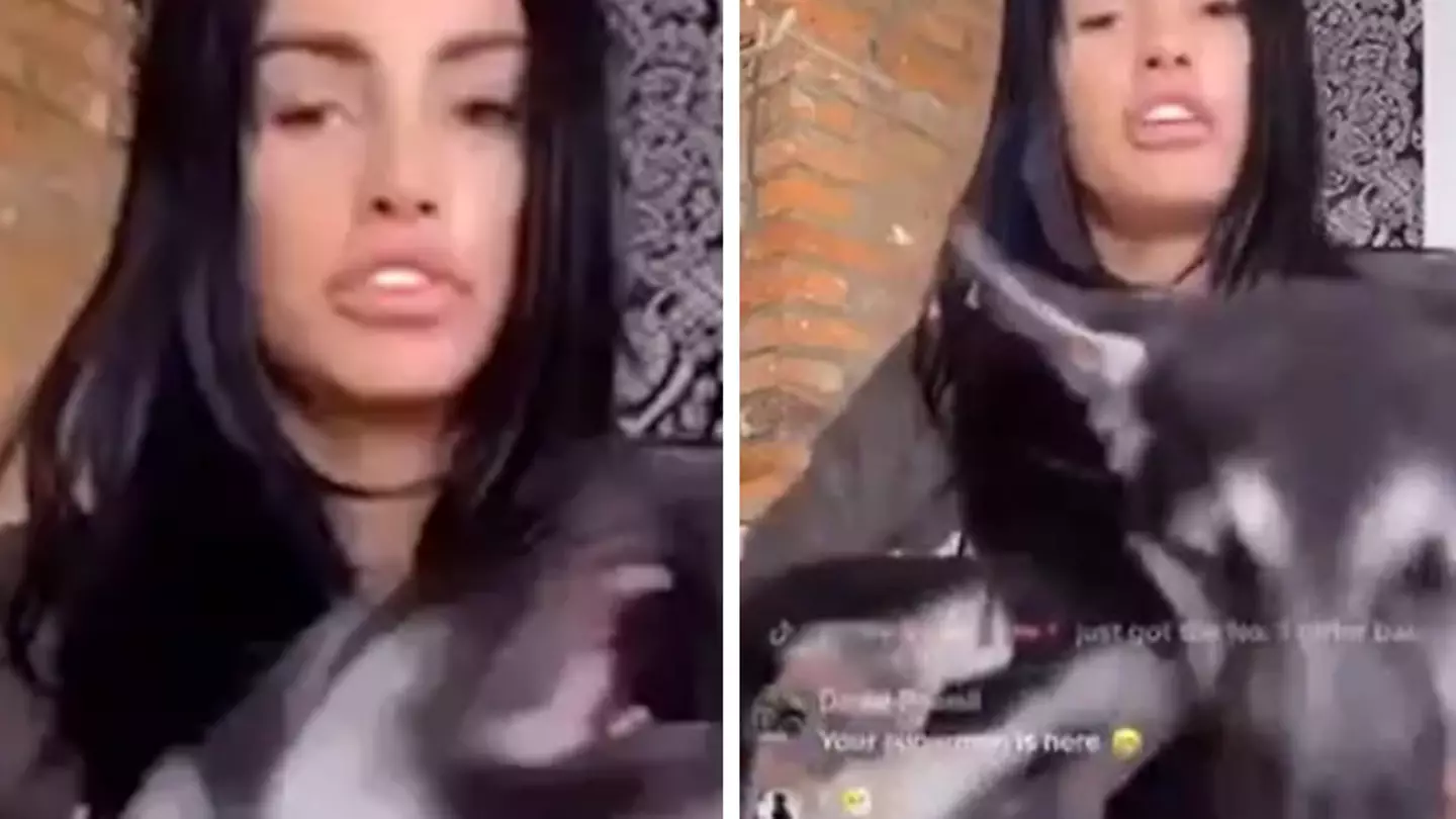Katie Price slammed by furious fans after she 'hits' new puppy