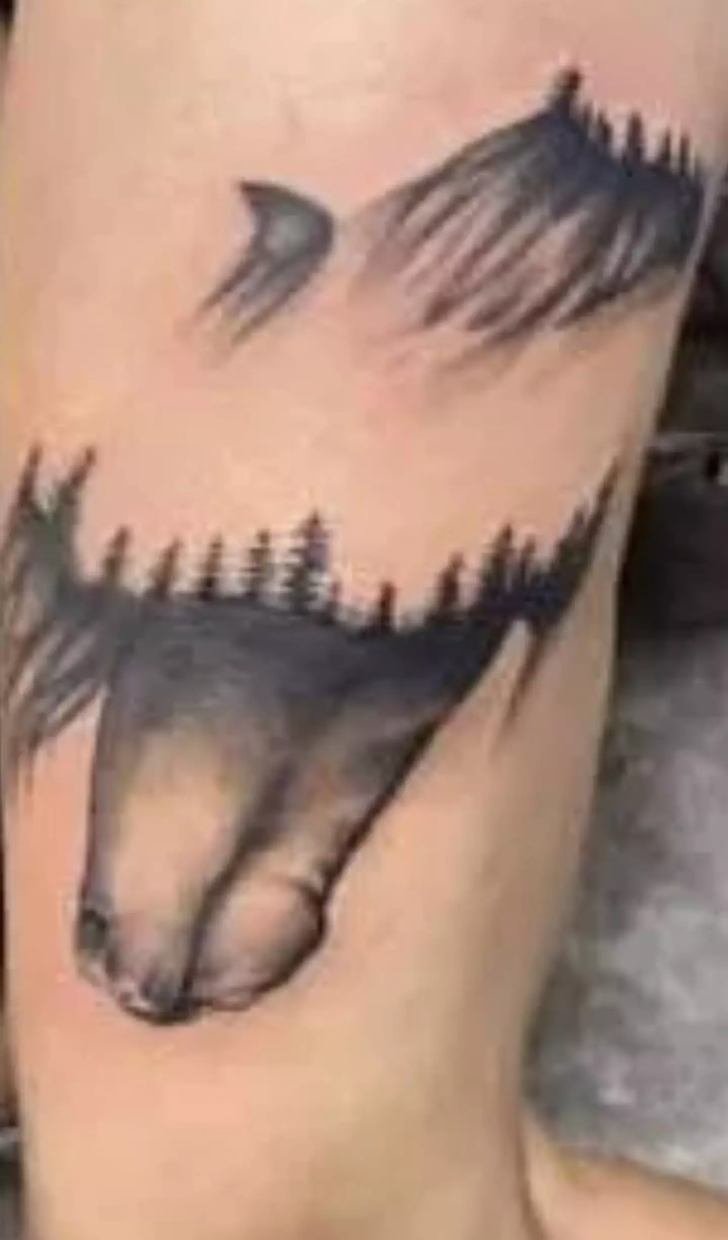 This horse tattoo apparently looks like something else (