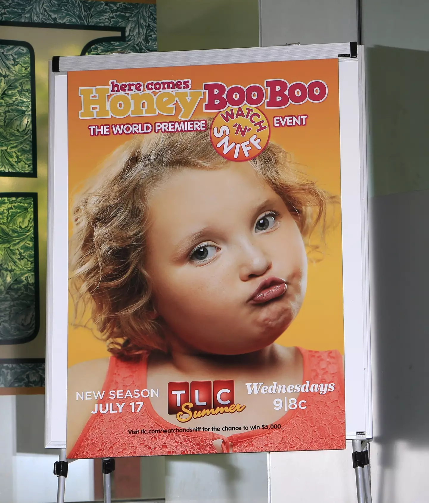 Alana Thompson's appearance on Toddlers and Tiaras landed them a reality TV show, Here Comes Honey Boo Boo (Charles Norfleet/FilmMagic)