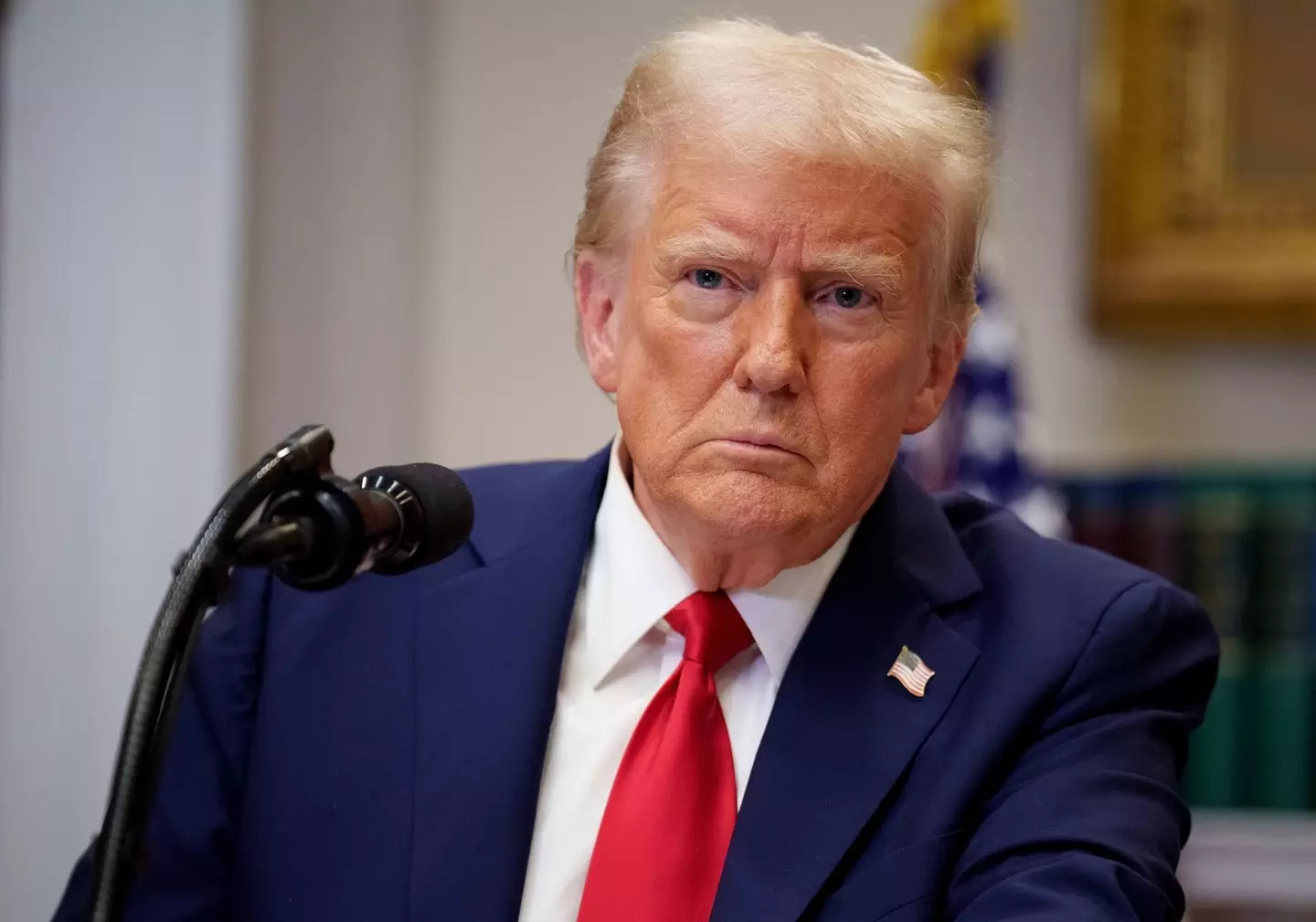 The president has suggested that he will lead the 'largest deportation programme in history' (Andrew Harnik/Getty Images)