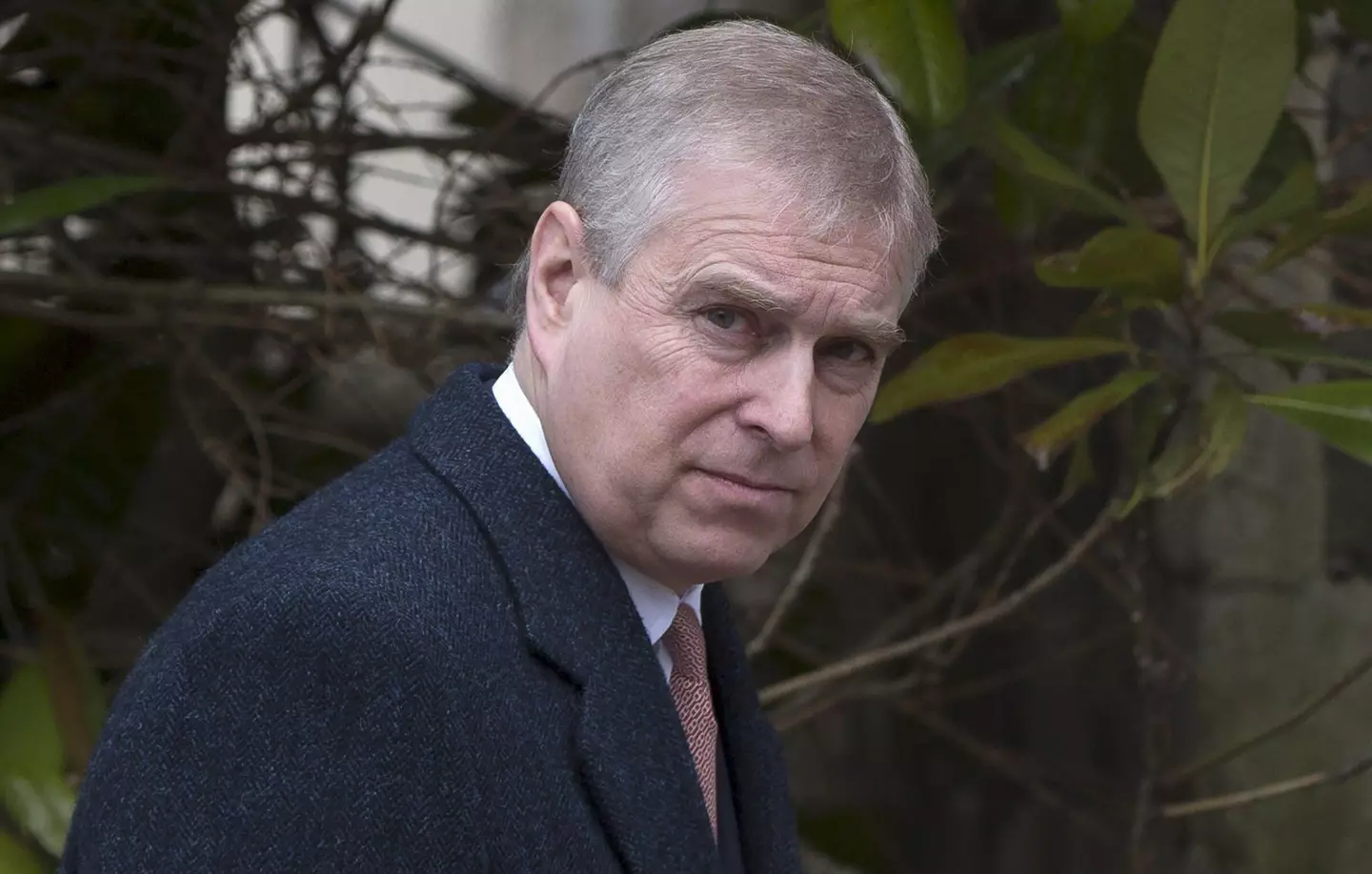 Prince Andrew denies all charges (