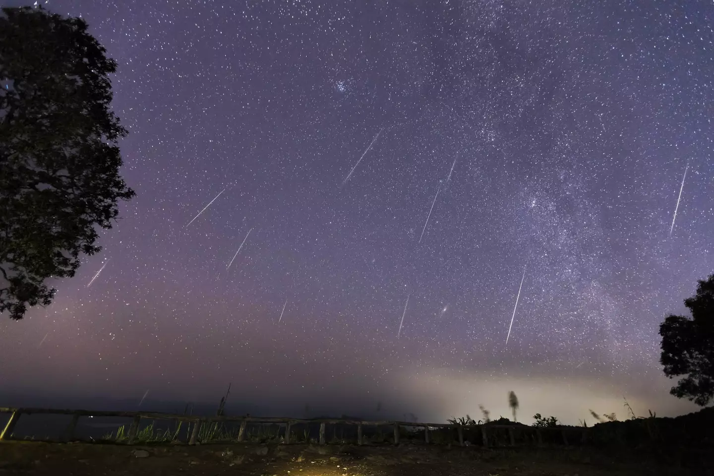 The meteor shower was visible on Monday (11 November) (Getty Stock Images)