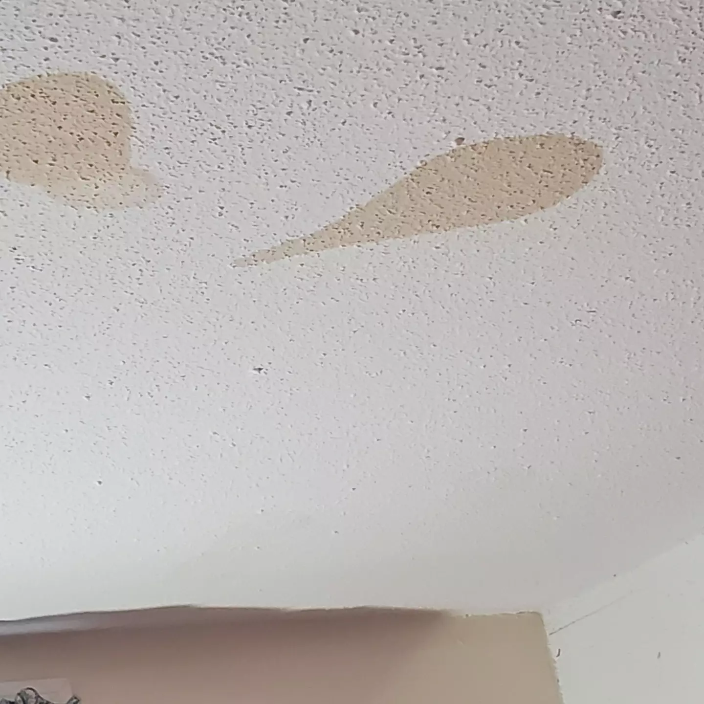 People reckoned they knew the cause of the mystery brown ceiling stains.