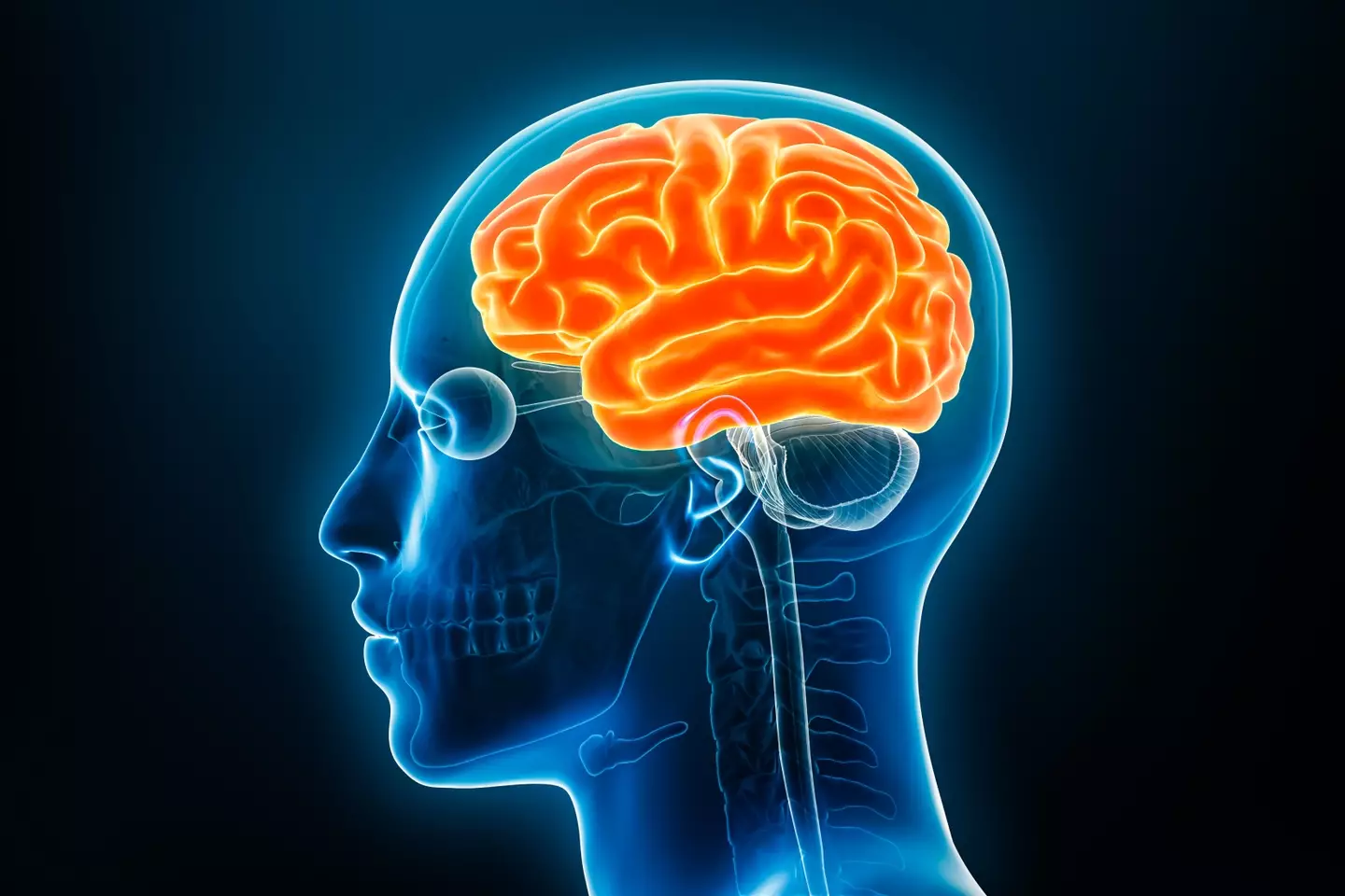 Researchers have found a link between a type of wee and dementia (libre de droit / Getty Images)