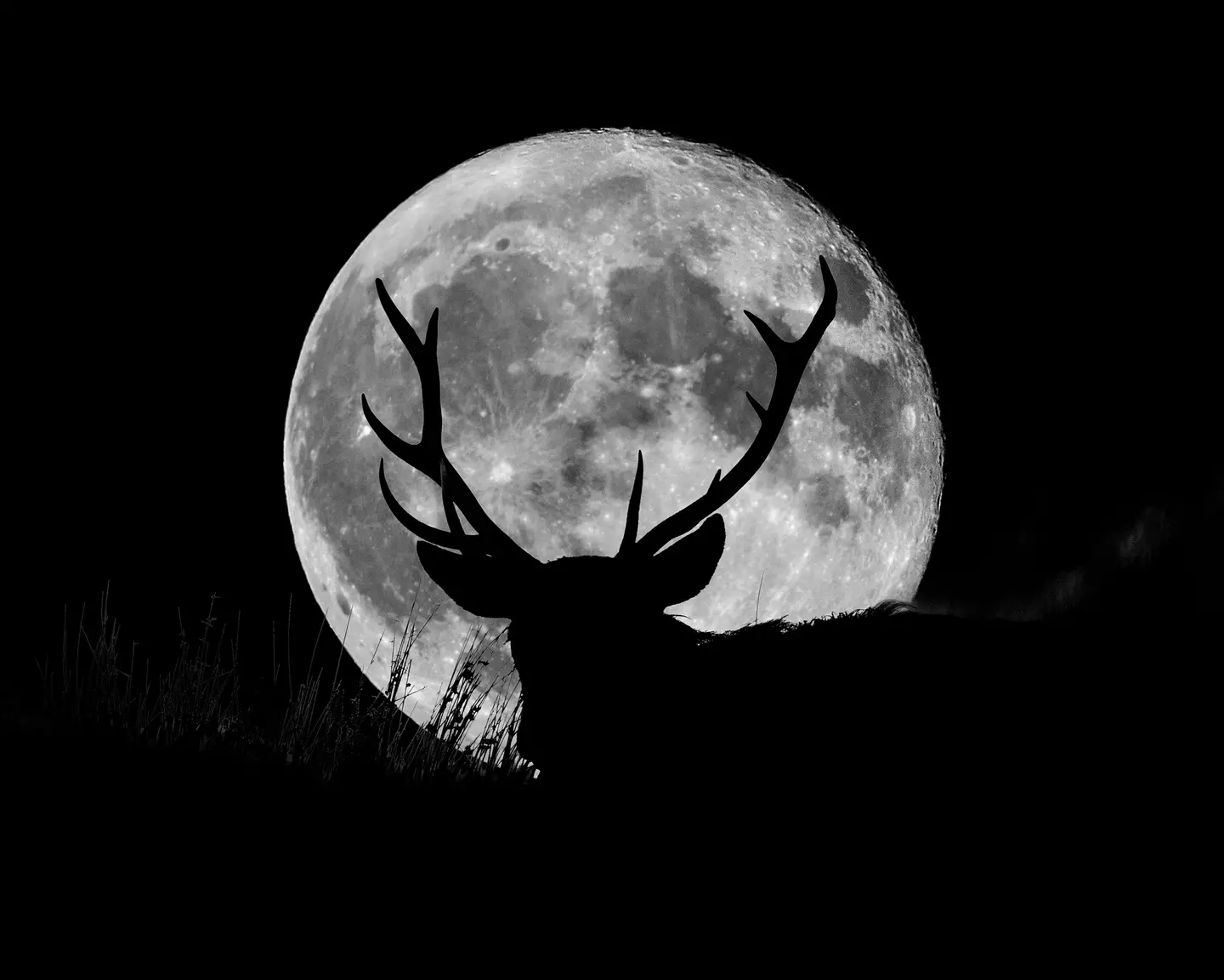 The Buck Moon will be visible this Sunday (21 July). (john finney photography / Getty Images)