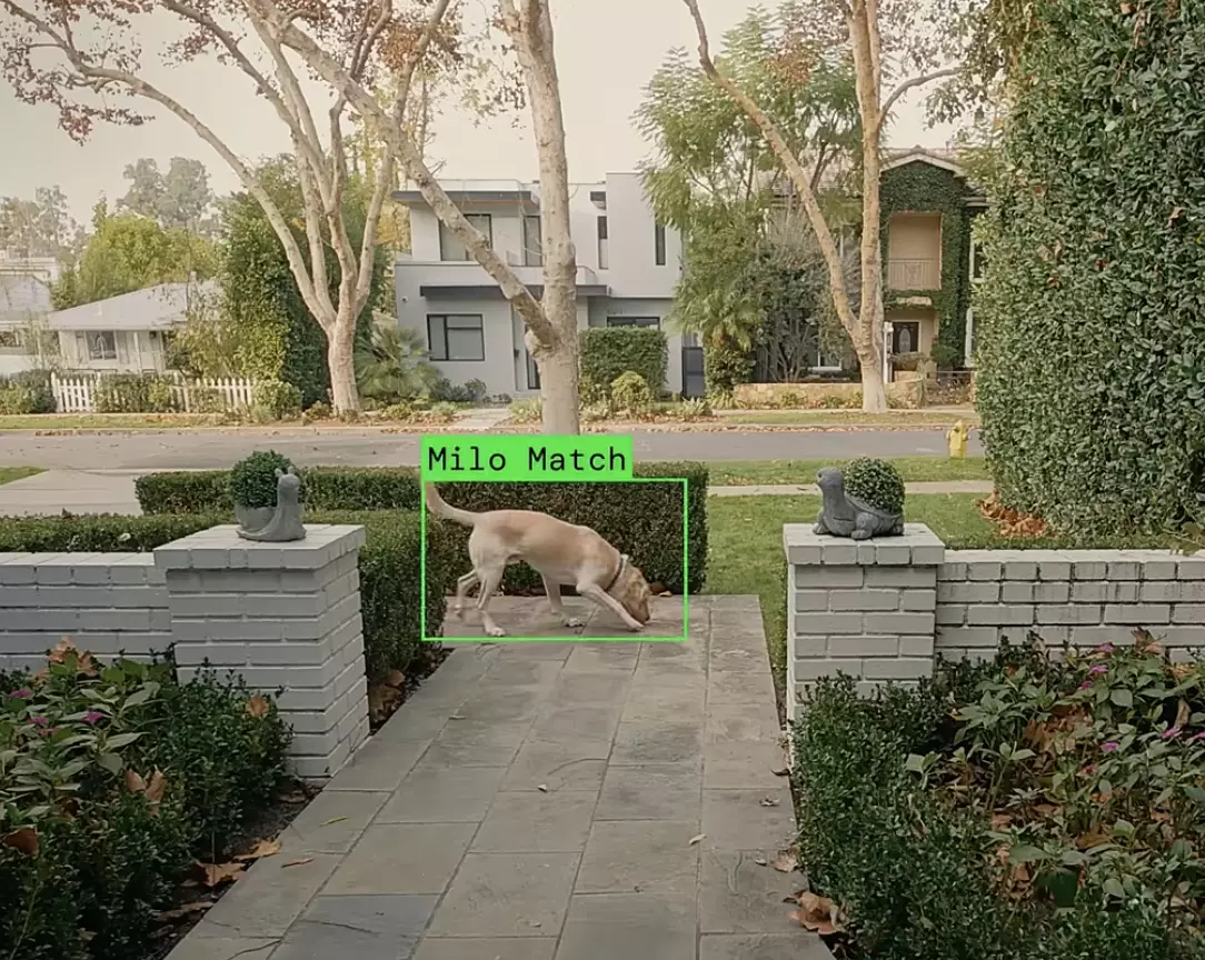 The Ring Doorbell ad sheds light on the missing pets crisis (Ring Doorbell)