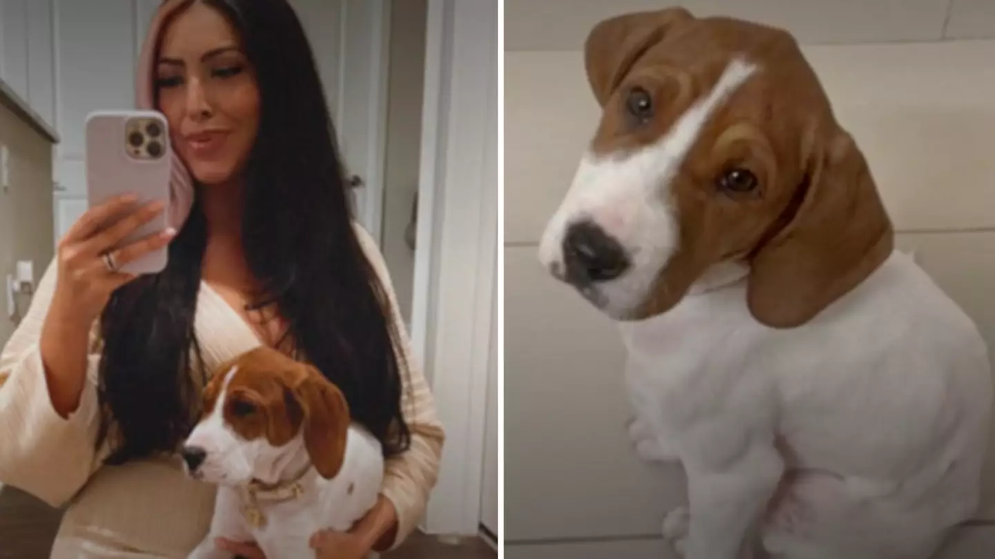 Woman discovers poorly puppy who she had 'put down' was actually alive in animal shelter