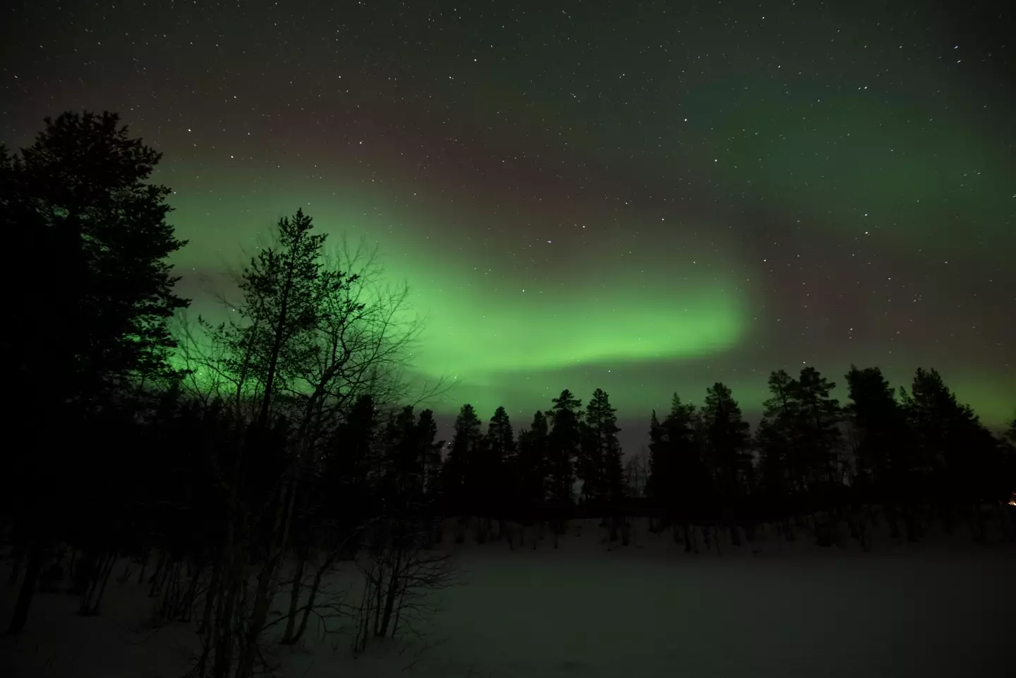 The event is named after Aurora Borealis - aka the Northern Lights (