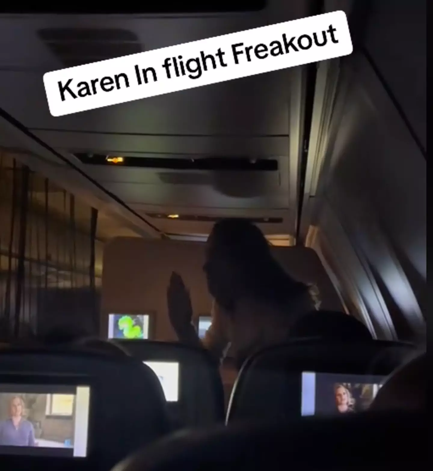 The first video shows the woman having a go at another passenger.