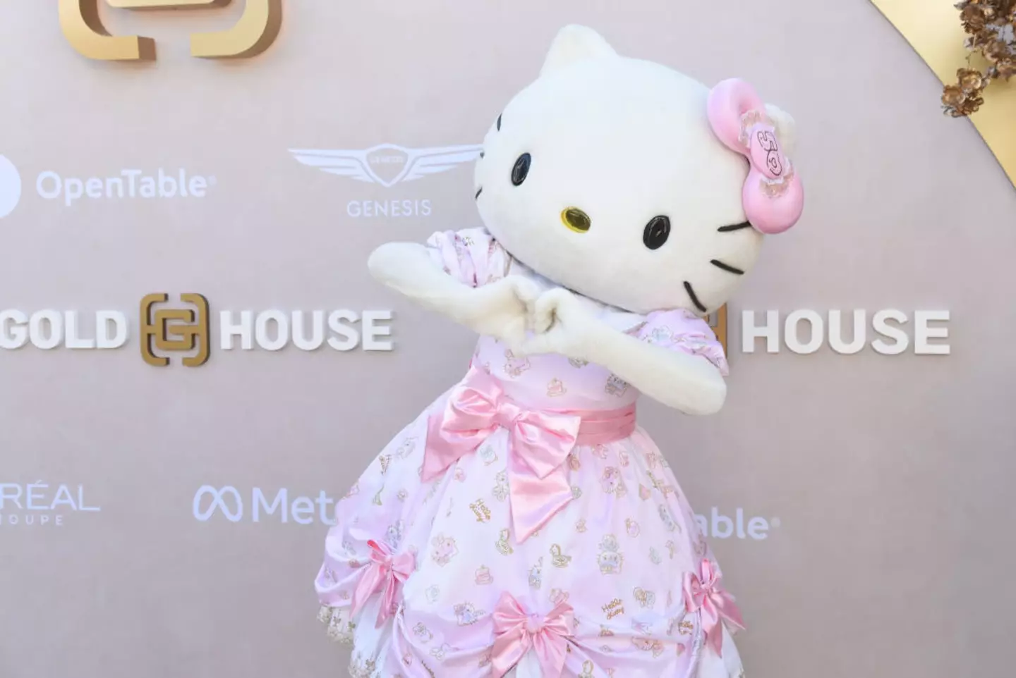 Not a cat? (Olivia Wong/FilmMagic)