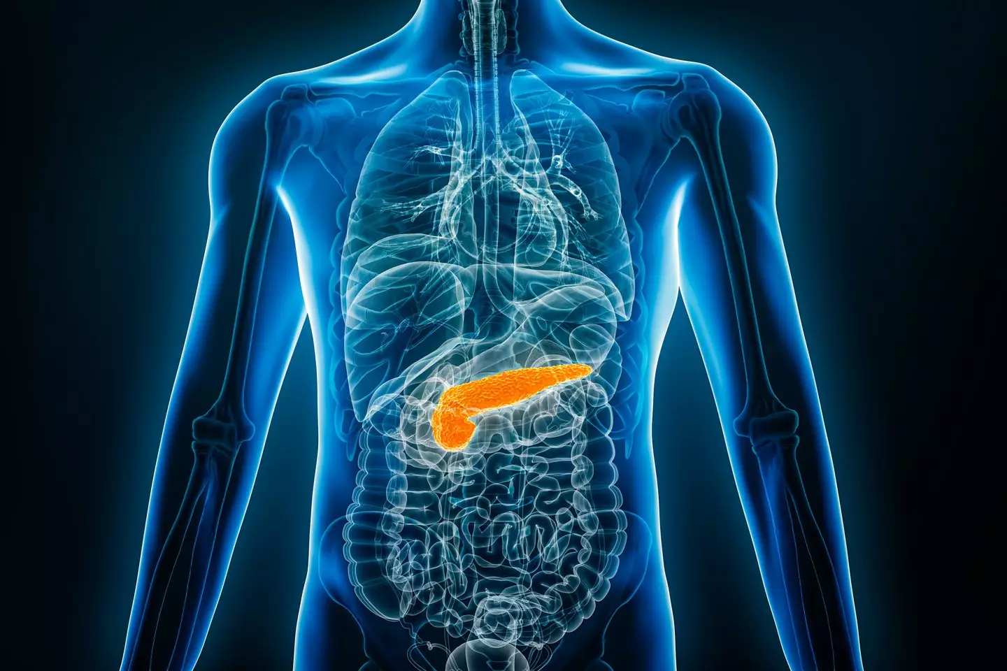 Pancreatitis describes the inflammation of the pancreas (Getty Stock Image)