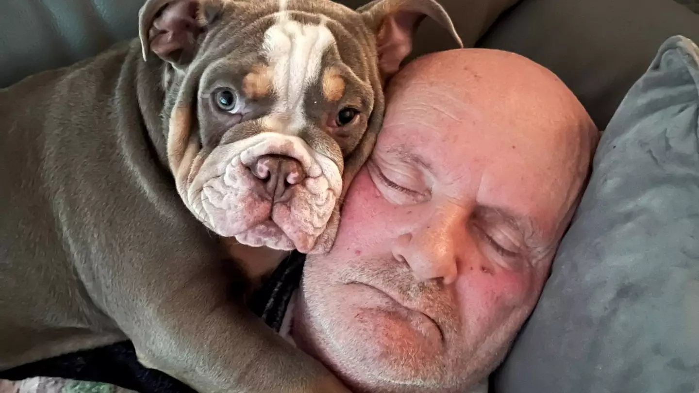 Puppy ‘saved owner’s life’ after chewing his toe ‘to the bone’ while he slept