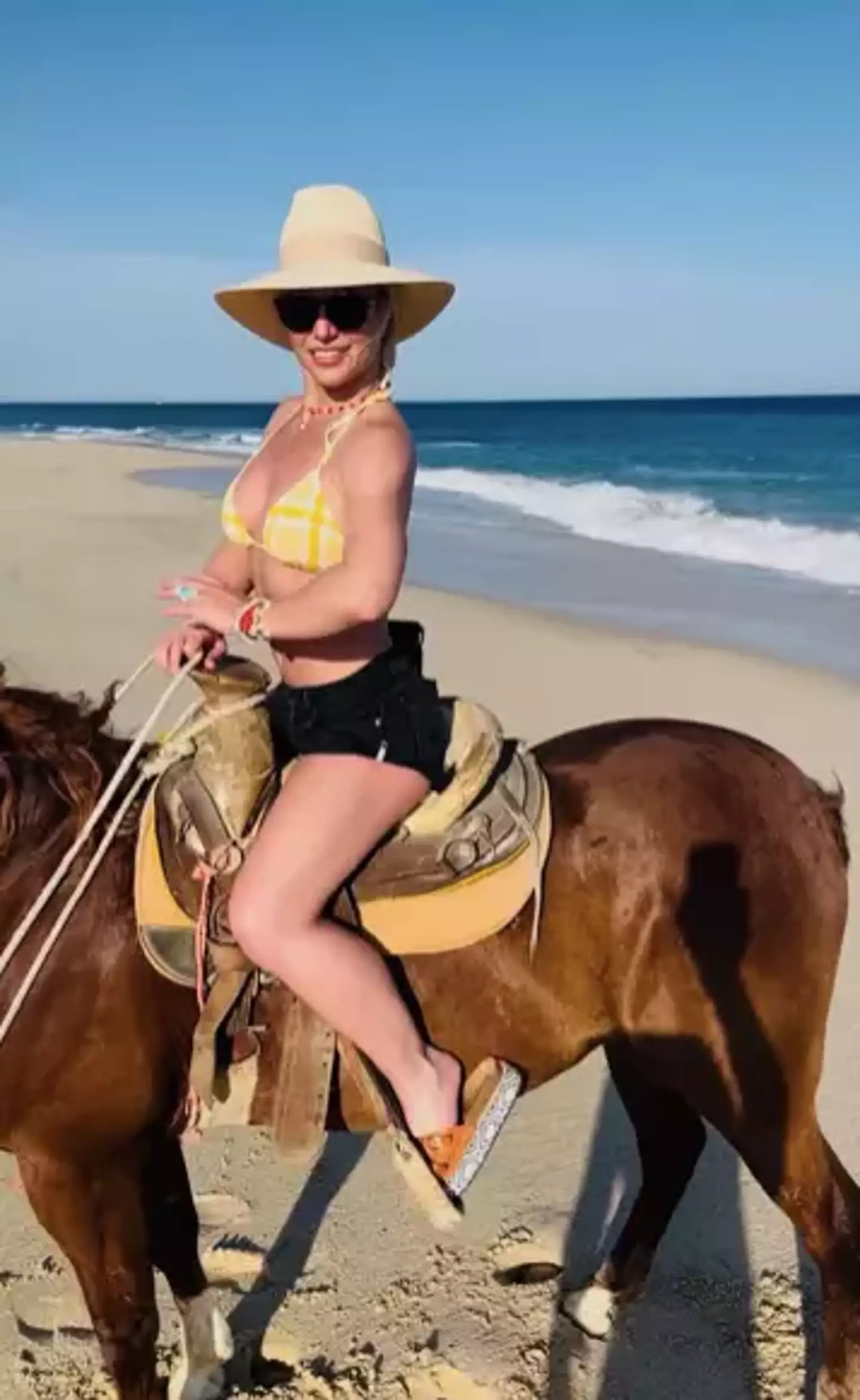 Britney discussed the possibility of buying a horse.