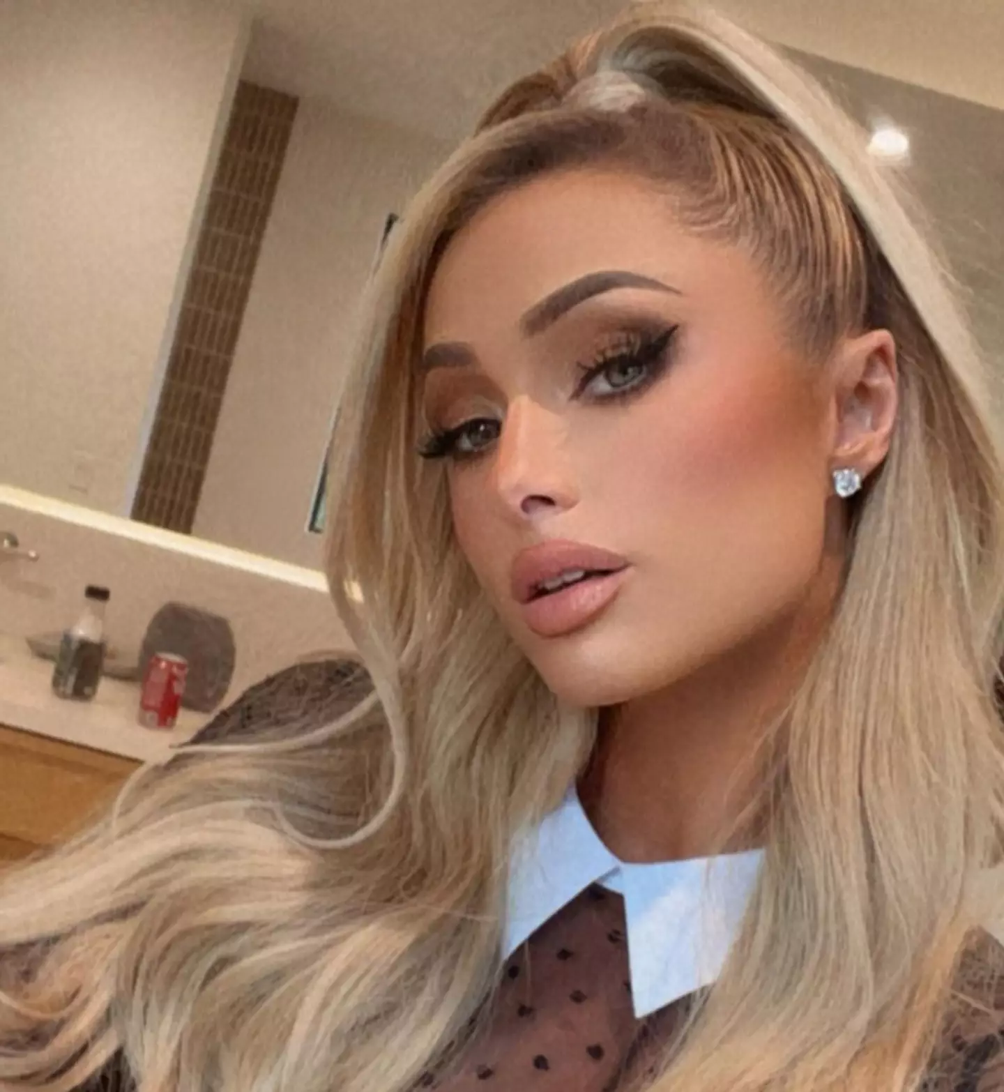 Paris Hilton has a number of chihuahuas.