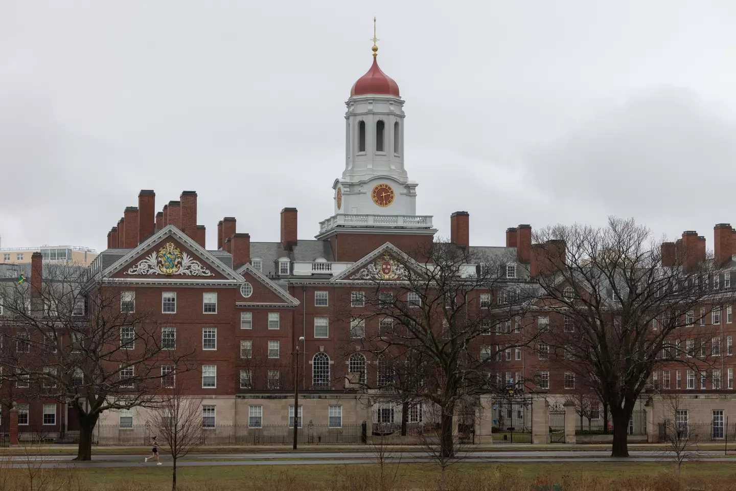 Harvard University has been embroiled in an ongoing feud with Donald Trump (Scott Eisen/Getty Images)