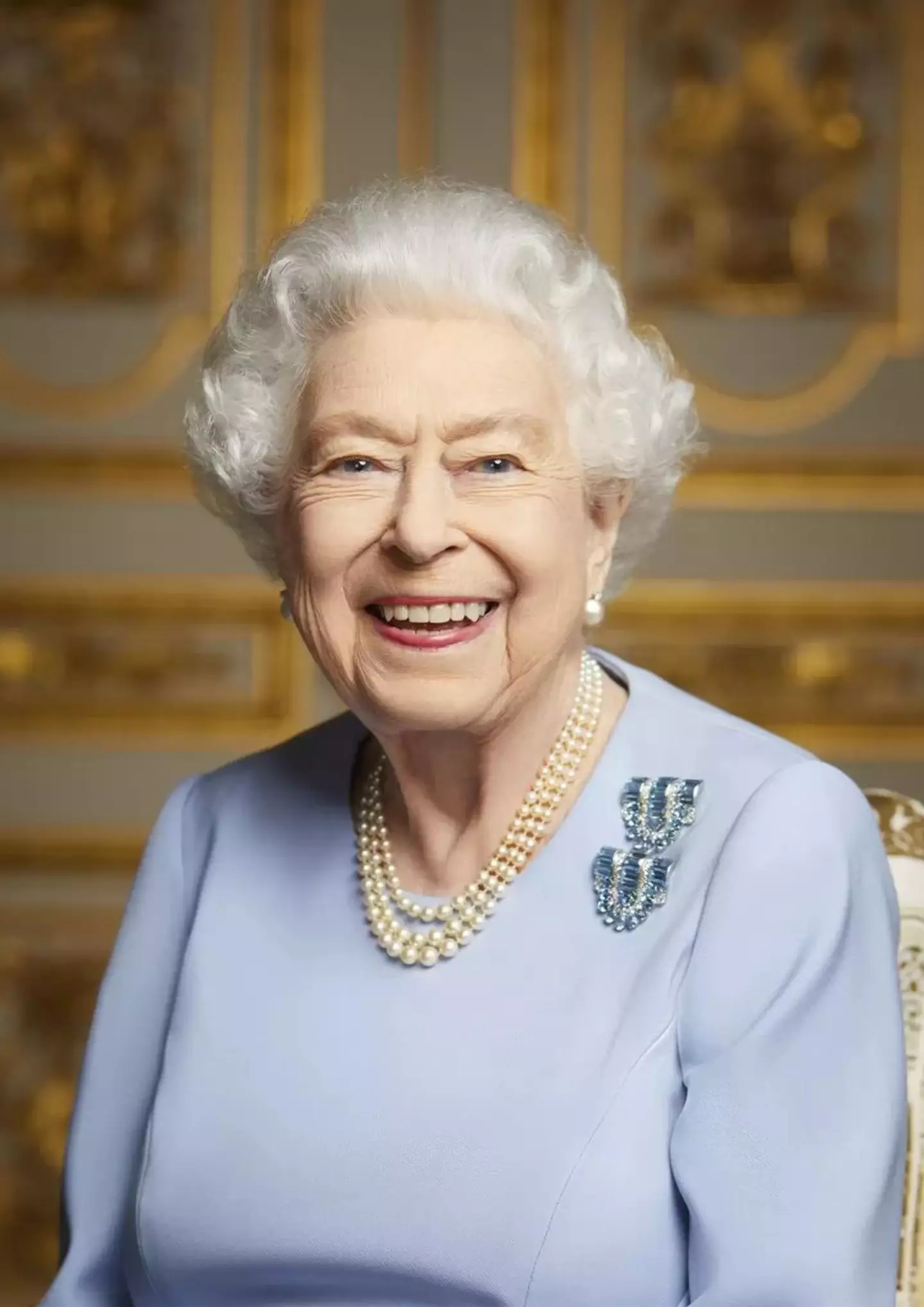 A new portrait of the Queen has been unveiled.