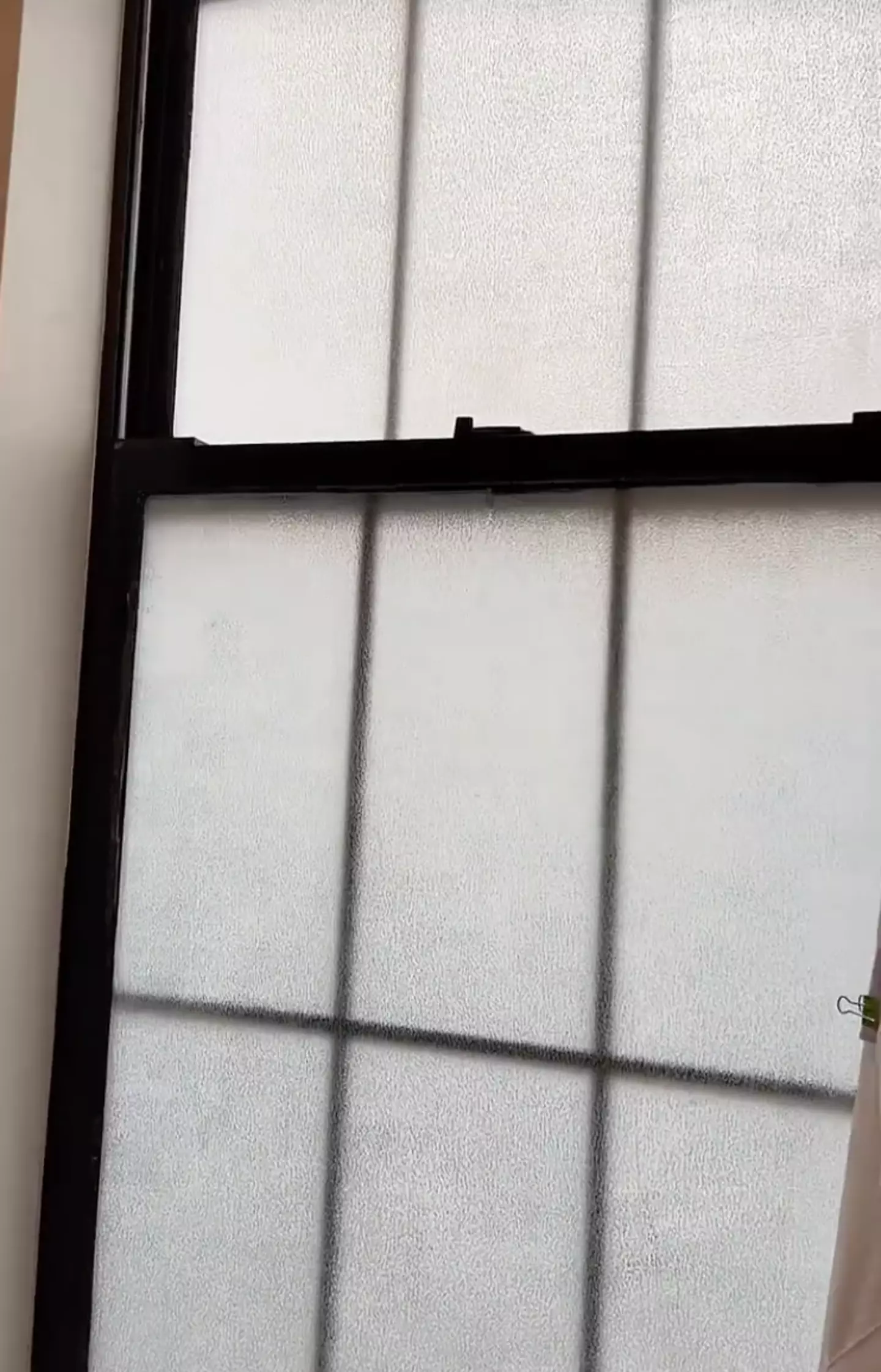 She made a makeshift window film.