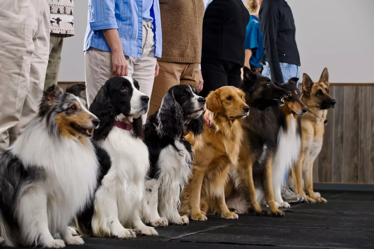 They probably won't sit still. Deal with it (Getty Stock Image)