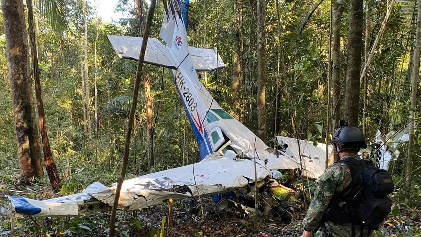 How four children survived after plane crash killed every adult on board