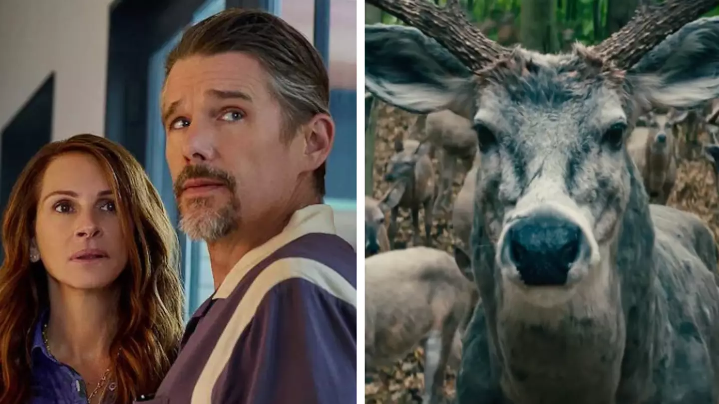 Meaning behind the deer in Netflix's Leave The World Behind