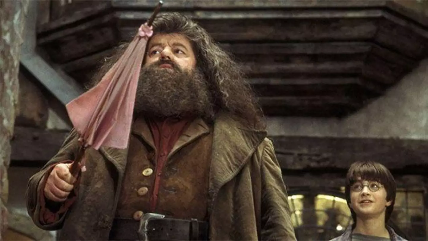 Hagrid keeps his old wand in a pink umbrella (