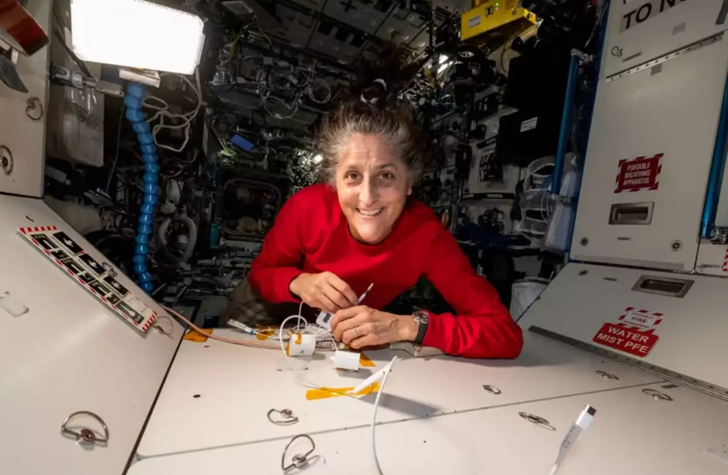 Williams insists she and Wilmore are doing just fine (NASA)