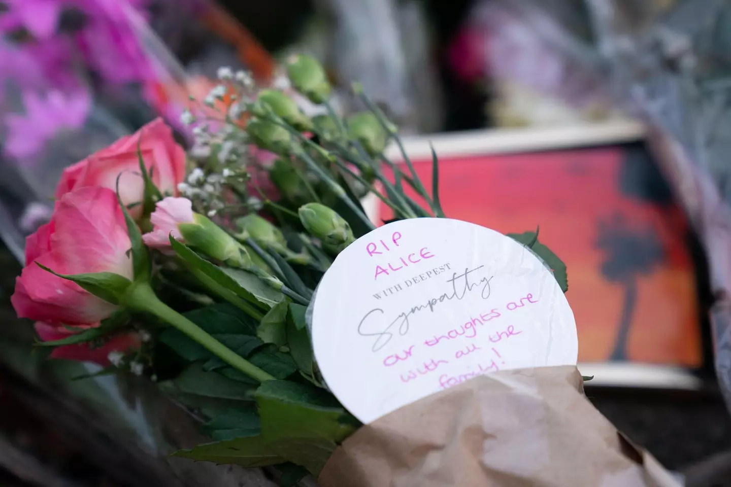 Alice Stones was killed by her dog in her garden.