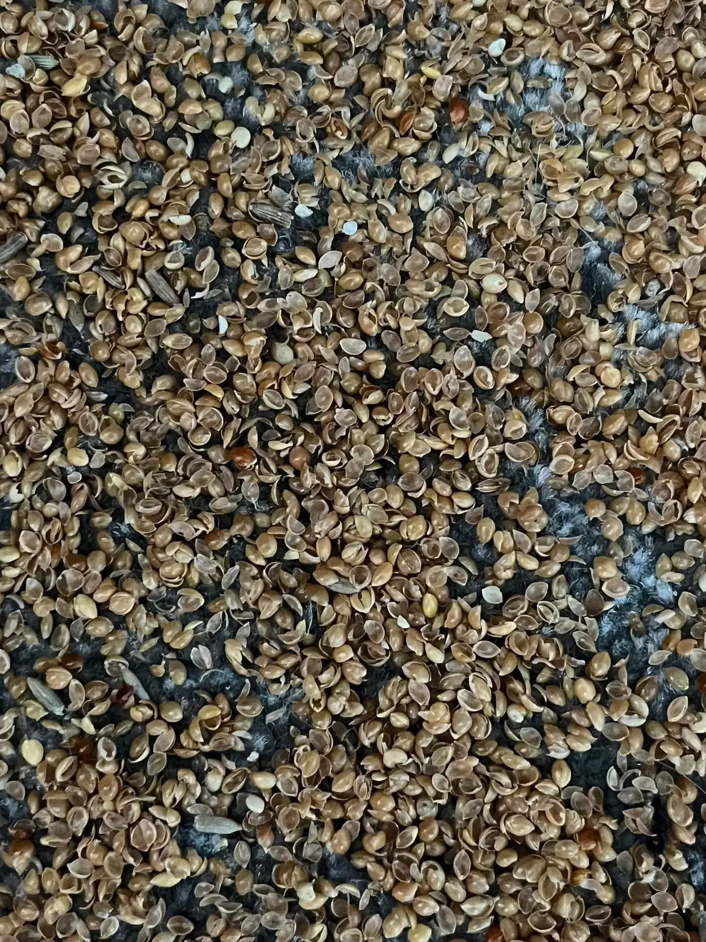 What do you think it is?