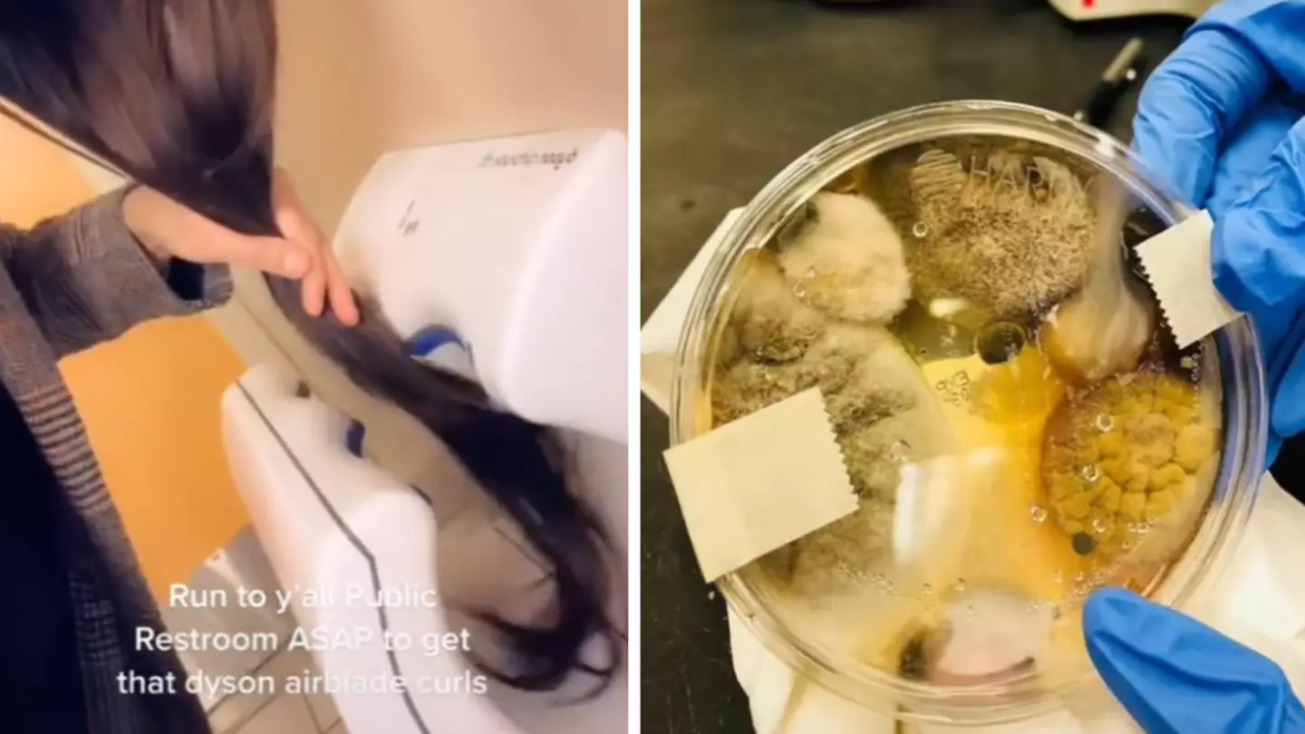 Women Warned Not To Dry Their Hair In Dyson Airblade Hand Dryers